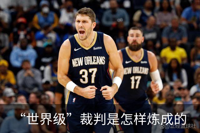 “世界级”裁判是怎样炼成的